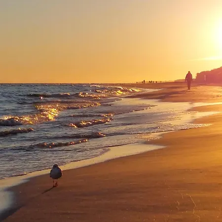 Pet Friendly In With Sauna Сasa de vacaciones *