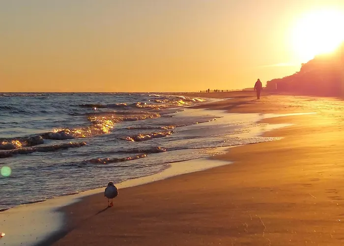 Pet Friendly In With Sauna Prázdninový dům *